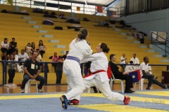 AdJ_31-Campeonato-Brasileiro-Karate-Gojuryu_477