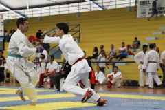 AdJ_31-Campeonato-Brasileiro-Karate-Gojuryu_481