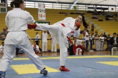 AdJ_31-Campeonato-Brasileiro-Karate-Gojuryu_484