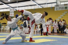 AdJ_31-Campeonato-Brasileiro-Karate-Gojuryu_487