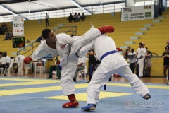 AdJ_31-Campeonato-Brasileiro-Karate-Gojuryu_490