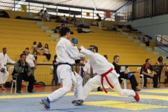 AdJ_31-Campeonato-Brasileiro-Karate-Gojuryu_497