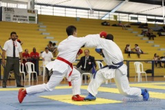 AdJ_31-Campeonato-Brasileiro-Karate-Gojuryu_506