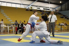 AdJ_31-Campeonato-Brasileiro-Karate-Gojuryu_515