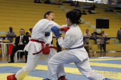 AdJ_31-Campeonato-Brasileiro-Karate-Gojuryu_517