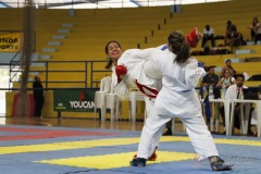 AdJ_31-Campeonato-Brasileiro-Karate-Gojuryu_519