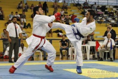 AdJ_31-Campeonato-Brasileiro-Karate-Gojuryu_528