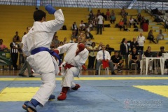 AdJ_31-Campeonato-Brasileiro-Karate-Gojuryu_530