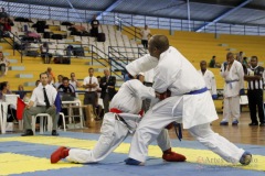 AdJ_31-Campeonato-Brasileiro-Karate-Gojuryu_542