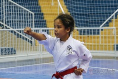 32º Campeonato Brasileiro de Karate-do Goju-ryu IKGA-Brasil