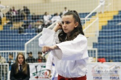 32º Campeonato Brasileiro de Karate-do Goju-ryu IKGA-Brasil