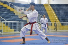 32º Campeonato Brasileiro de Karate-do Goju-ryu IKGA-Brasil