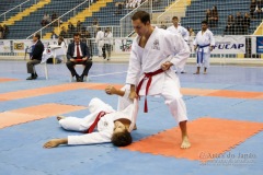 32º Campeonato Brasileiro de Karate-do Goju-ryu IKGA-Brasil