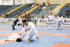 32º Campeonato Brasileiro de Karate-do Goju-ryu IKGA-Brasil