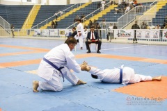 32º Campeonato Brasileiro de Karate-do Goju-ryu IKGA-Brasil