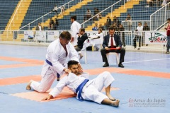 32º Campeonato Brasileiro de Karate-do Goju-ryu IKGA-Brasil