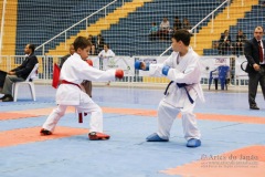 32º Campeonato Brasileiro de Karate-do Goju-ryu IKGA-Brasil