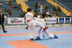 32º Campeonato Brasileiro de Karate-do Goju-ryu IKGA-Brasil