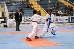 32º Campeonato Brasileiro de Karate-do Goju-ryu IKGA-Brasil