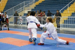 32º Campeonato Brasileiro de Karate-do Goju-ryu IKGA-Brasil