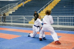 32º Campeonato Brasileiro de Karate-do Goju-ryu IKGA-Brasil