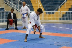 32º Campeonato Brasileiro de Karate-do Goju-ryu IKGA-Brasil