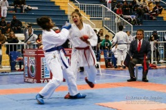 32º Campeonato Brasileiro de Karate-do Goju-ryu IKGA-Brasil