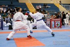 32º Campeonato Brasileiro de Karate-do Goju-ryu IKGA-Brasil