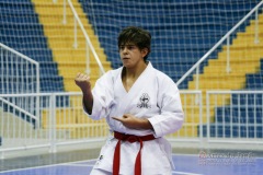 32º Campeonato Brasileiro de Karate-do Goju-ryu IKGA-Brasil