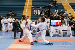 32º Campeonato Brasileiro de Karate-do Goju-ryu IKGA-Brasil