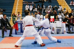 32º Campeonato Brasileiro de Karate-do Goju-ryu IKGA-Brasil