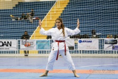 32º Campeonato Brasileiro de Karate-do Goju-ryu IKGA-Brasil