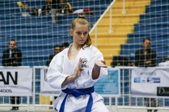 32º Campeonato Brasileiro de Karate-do Goju-ryu IKGA-Brasil