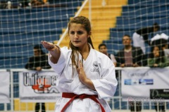 32º Campeonato Brasileiro de Karate-do Goju-ryu IKGA-Brasil