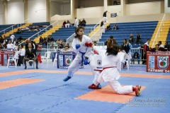 32º Campeonato Brasileiro de Karate-do Goju-ryu IKGA-Brasil