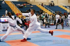 32º Campeonato Brasileiro de Karate-do Goju-ryu IKGA-Brasil