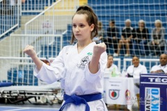 33º Campeonato Brasileiro de Karate-do Goju-ryu IKGA