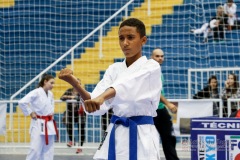 33º Campeonato Brasileiro de Karate-do Goju-ryu IKGA