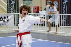 33º Campeonato Brasileiro de Karate-do Goju-ryu IKGA