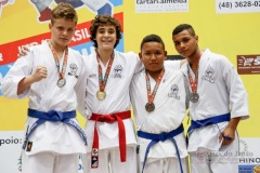 33º Campeonato Brasileiro de Karate-do Goju-ryu IKGA