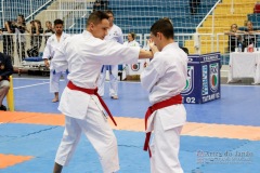 33º Campeonato Brasileiro de Karate-do Goju-ryu IKGA