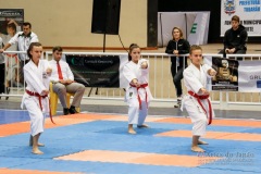 33º Campeonato Brasileiro de Karate-do Goju-ryu IKGA