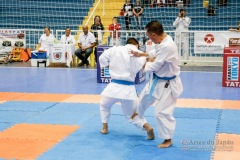 33º Campeonato Brasileiro de Karate-do Goju-ryu IKGA