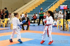 33º Campeonato Brasileiro de Karate-do Goju-ryu IKGA