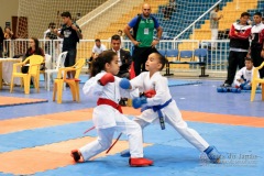 33º Campeonato Brasileiro de Karate-do Goju-ryu IKGA