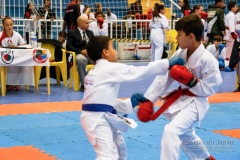 33º Campeonato Brasileiro de Karate-do Goju-ryu IKGA