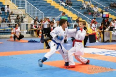 33º Campeonato Brasileiro de Karate-do Goju-ryu IKGA