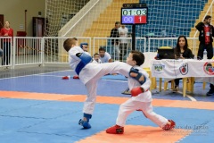 33º Campeonato Brasileiro de Karate-do Goju-ryu IKGA