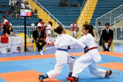 33º Campeonato Brasileiro de Karate-do Goju-ryu IKGA