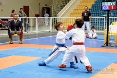 33º Campeonato Brasileiro de Karate-do Goju-ryu IKGA